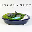 日本庭園大 苔テラリウム作成キット 苔盆栽 苔日本庭園 プレゼント用 苔日本庭園 苔 コケ こけ 父 ...