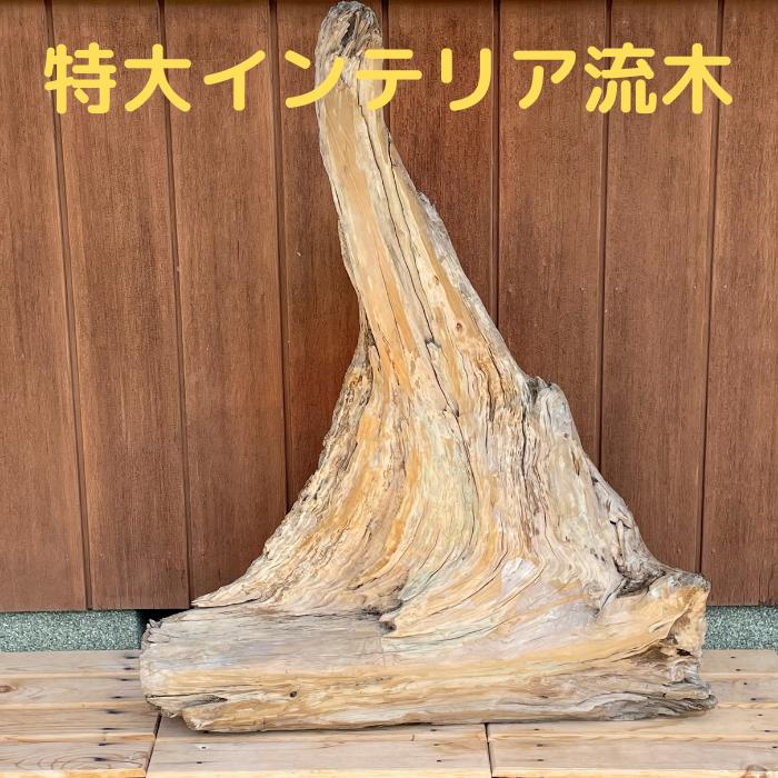 楽天市場】流木 特大(素材(インテリア)木)(インテリア小物 楽天市場】流木 特大(素材(インテリア)木)(インテリア小物