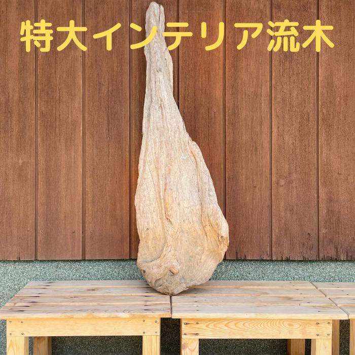 楽天市場】流木 特大(素材(インテリア)木)(インテリア小物 楽天市場】流木 特大(素材(インテリア)木)(インテリア小物