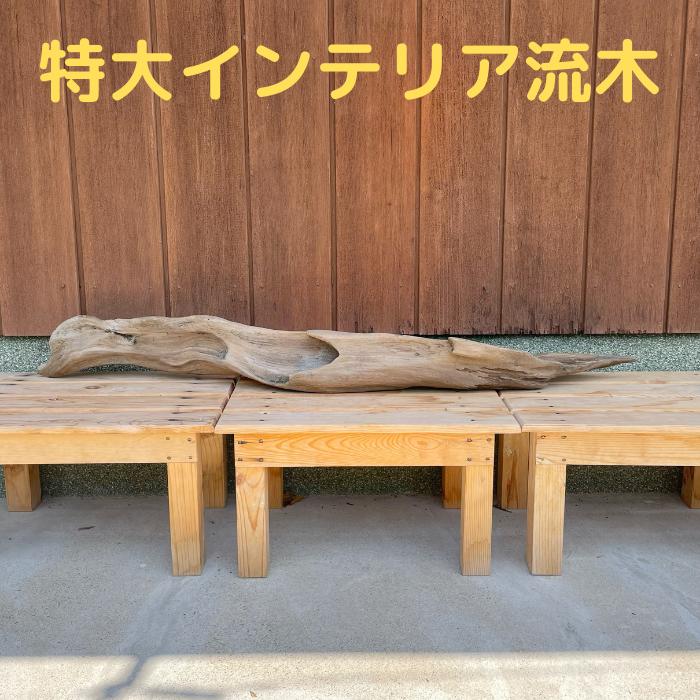 楽天市場】流木 特大(インテリア小物・置物|インテリア・寝具 楽天市場】流木 特大(インテリア小物・置物|インテリア・寝具