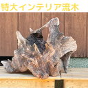 特大 インテリア 流木 9 玄関飾り 店舗飾り 看板 オブジェ イベント ホール飾り 高級 花器 一点物 プレゼント 新築祝い 開店祝い 新店祝い 正月飾り 卒業式 入学式(3)
