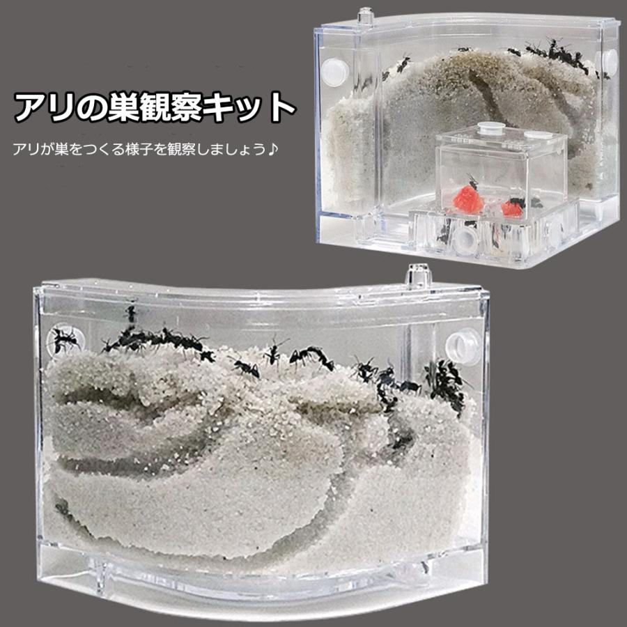 アリの巣　あり観察キット　飼育ケース　砂　自由研究 小学生 あり 蟻 飼育セット 実験セット 観察　夏..