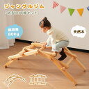 【最大2000円offクーポンあり】ジャングルジム クライミングフレーム 5段 木製 大型遊具 室内 屋外 室外 室内遊具 屋外遊具 幼児 子供 誕生日プレゼン...
