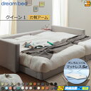 【クイーン1】【生地見本無料貸し出し中】【お届けは設置まで】【正規販売店】ドリームベッド フレーム・マットレスセット ハグミル 2401 フレームカラーBランク 片側アーム付き ペニーセーバー270 F4 マットレス付 クイーン1 DB2044