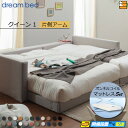 【クイーン1】【生地見本無料貸し出し中】【お届けは設置まで】【正規販売店】ドリームベッド フレーム・マットレスセット ハグミル 2401 フレームカラーEランク 片側アーム付き ペニーセーバー270 F4 マットレス付 クイーン1 DB2049