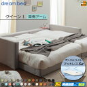 【クイーン1】【生地見本無料貸し出し中】【お届けは設置まで】【正規販売店】ドリームベッド フレーム・マットレスセット ハグミル 2401 フレームカラーBランク 両側アーム付き ペニーセーバー270 F4 マットレス付 クイーン1 DB2064