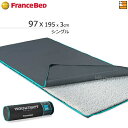 【シングル】【正規販売店】フランスベッド ボディテクト ベッドパッド シングル フランスベッド 公式 ゴールドパートナーショップ FC0674