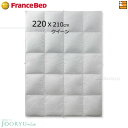 【クイーン 肌掛け】【受注生産品】【フランスベッドから直送】羽毛布団 フランスベッド 掛け布団 羽毛ふとん JOORYU PLUS LT JP-06 肌掛け ク...