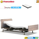 【今なら電動ベッド用シーツがもらえる】【シングル】【マットレス付】高級 電動ベッド フランスベッド レステックス-06C 3モーター RX-STD-EX マット...