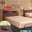 【パーソナルシングル】【マットレス付】【お届けは設置まで】【正規販売店】高級 電動ベッド 2モーター サータ モーションパーフェクト NO.513 Z-184電...