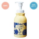 フェニックス ARA アラ!弱酸性 ホイップ&ウォッシュ 500mL(4)