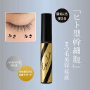 【公式】ステムラッシュ美容液 6ml まつ毛 まつ育 眉毛 美容液 ヒト型細胞 目元 アイラッシュ ラッシュセラム まつ毛美容液 ヒト型幹細胞 まつ毛ケア まつ...