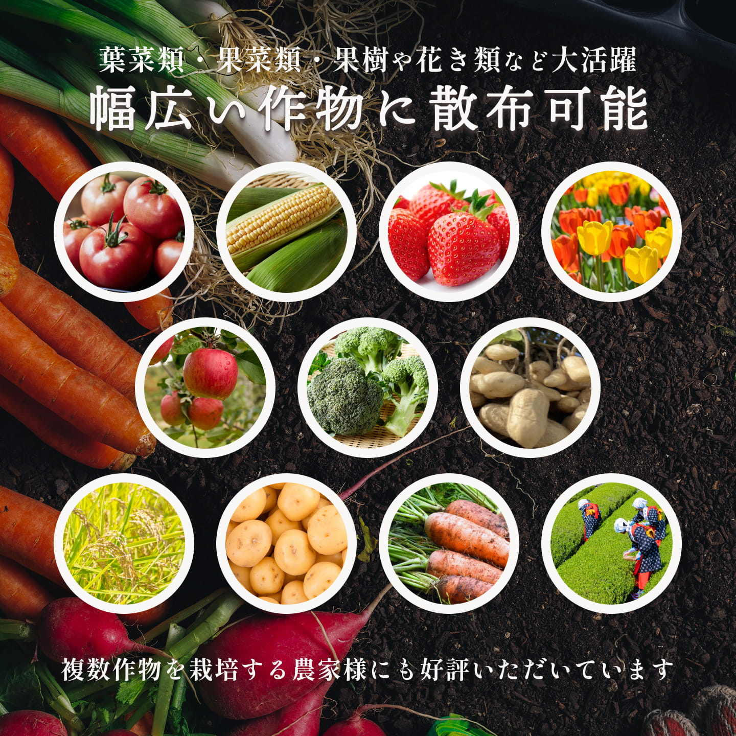 今だけ数量限定500ml増量中！【大容量】勝ち鬨乃葉炉　まとめ買い10.5L【送料無料...