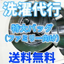 【詰め放題】洗濯代行サービス 特大バッグ（ファミリーサイズ）【送料無料】カッターシャツ2枚クリーニング【選べる洗剤】