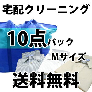 【送料無料】宅配クリーニング　詰め放題10点 「中バッグ」バッグサイズにご注目！！[詰め放題 入れ放題]