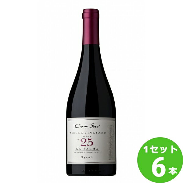 スマイル コノスル　シングルヴィンヤード　シラー Cono Sur Single Vineyard Syrah限定 750ml ×6本 チリ/サンアントニオ・ヴァレー ワイン【送料無料※一部地域は