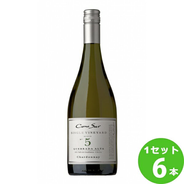 スマイル コノスル　シングルヴィンヤード　シャルドネ Cono Sur Single Vineyard Chardonnay限定 750ml ×6本 チリ/カサブランカヴァレー ワイン【送料無料※