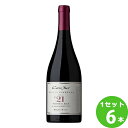 スマイル コノスル シングルヴィンヤード ピノ・ノワール Cono Sur Single Vineyard Pinot Noir限定 750ml 6本 チリ サンアントニオ・ヴァレー ワイン【送