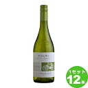 スマイル コノスル ソーヴィニヨン ブラン ビシクレタ レゼルバ Cono Sur Sauvignon Blanc Bicicleta Reserva 定番 750ml ×12本 チリ/チリ ワ