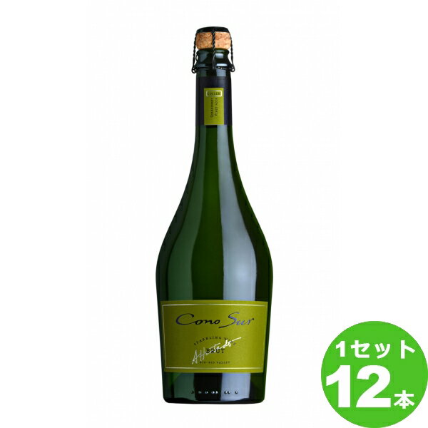 スマイル コノスル　スパークリングワイン　ブリュット Cono Sur Sparkling Wine Brut定番 スパークリング 750ml ×12本 チリ/ビオビオヴァレー ワイン【送料無料※一