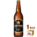 サッポロ サッポロ生黒ラベル大瓶 633ml 20本 1ケース 20本 ビール【送料無料※一部地域は除く】