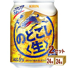 キリン のどごし生 250ml×24本×2ケース 新ジャンル【送料無料※一部地域は除く】