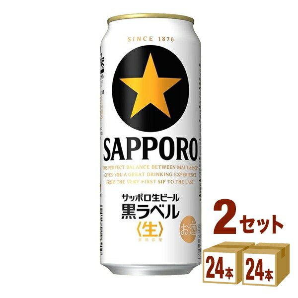 サッポロ 生ビール黒ラベル 500ml×24本×2ケース ビール【送料無料※一部地域は除く】