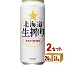 サッポロ 北海道生搾り 500ml×24本×2ケース (48本) 発泡酒【送料無料※一部地域は除く】