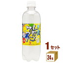 {TKA ڂ背T[ij 500ml~24{~1P[X (24{) `[nCEnC{[EJNeyꕔn͏z