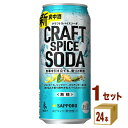 【特売】サッポロ クラフトスパイスソーダ 500ml×24本×1ケース (24本) チューハイ・ハイボール・カクテル【送料無料※一部地域は除く】