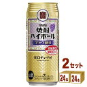 宝酒造 タカラ 焼酎ハイボール ブドウ割り 500ml×24本×2ケース (48本) チューハイ・ハイボール・カクテル【送料無料※一部地域は除く】