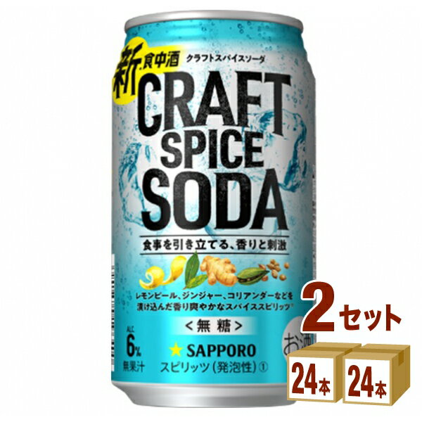 サッポロ クラフトスパイスソーダ 350ml×24本×2ケース (48本) チューハイ・ハイボール・カクテル【送料無料※一部地域は除く】