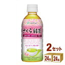 ハイピース（盛田） さくら緑茶 SAKURA GREEN TEA ペット 330ml×24本×2ケース (48本)【送料無料※一部地域は除く】