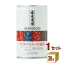 サンスター 健康道場 4つのベリーの恵み 160ml×30本×1ケース (30本) 飲料