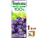 キリン トロピカーナ 100% グレープ 紙(LLスリム) 250ml×24本×1ケース (24本) 飲料【送料無料※一部地域は除く】