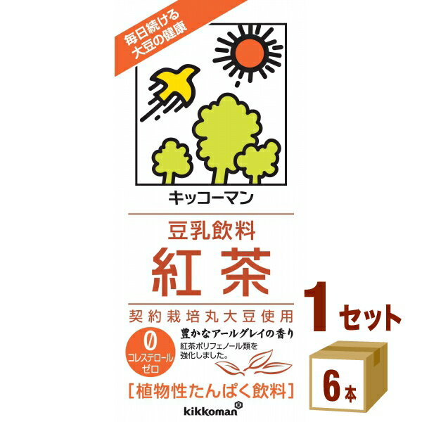 キッコーマンソイ 豆乳飲料紅茶パック 1000ml×6本×1ケース (6本) 飲料【送料無料※一部地域は除く】