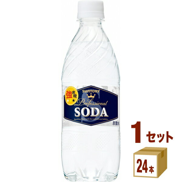 サントリー ソーダペット（強炭酸） 490ml×24本×1ケース 飲料【送料無料※一部地域は除く】