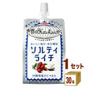 キリン 世界のKitchen（キッチン）から ソルティライチ パウチ 300 ml×30本×1ケース (30本) 飲料【送料無料※一部地域は除く】【熱中症対策】