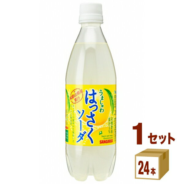 賞味期限2024年6月23日 日本サンガリア うましゅわはっさくソーダ 500ml×24本×1ケース (24本)【送料無料※一部地域は…