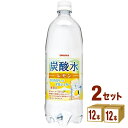 【300円クーポン配布中】日本サンガリア 炭酸水レモンペット...