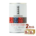 サンスター 健康道場 4つのベリーの恵み 160ml×30本×2ケース (60本) 飲料