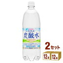 サンガリア 伊賀の天然水炭酸水 ペットボトル 【1L】 1000ml ×24本 （2ケース） 飲料 炭酸水 スパークリング【送料無料※一部地域は除く】