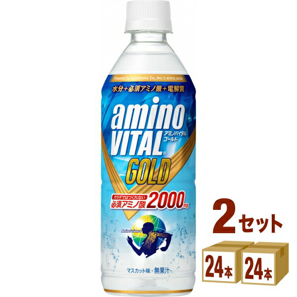 キリン アミノバイタルGOLD ドリンク 555ml ペットボトル 555 ml×24 本×2ケース 飲料【送料無料※一部地域は除く】