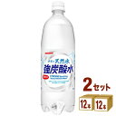 サンガリア 伊賀の天然水 強炭酸水 1000ml（1L）×12本×2ケース（24本）