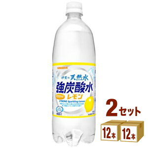 サンガリア 伊賀の天然水 強炭酸水 レモン 1000ml×12本×2ケース（24本） 飲料【送料無料※一部地域は除く】