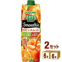 カゴメ 野菜生活100 Smoothie スムージー ビタミンスムージー オレンジ&キャロットMix 1000g×6本×2ケース (12本) 飲料【送料無料※一...