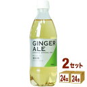 友桝飲料 ジンジャーエール ペット 500ml×24本×2ケース (48本)【送料無料※一部地域は除く】