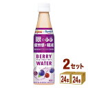 3/17発売 ダイドードリンコ ダイドー×ロート ベリーウォーター 350ml×24本×2ケース (48本)【送料無料※一部地域は除く】