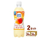 賞味期限2025年10月31日 カルピス カルピスソーダ クリーミーマンゴ— 500ml×24本×2ケース (48本)【送料無料※一部地域は除く】|詳細画像