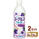 賞味期限2025年12月11日【特売】日本サンガリア ヨーグルンウォーターブルーベリー 500ml×24本×2ケース (48本)【送料無料※一部地域は除く】 数...